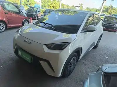 BYD Seagull 2024