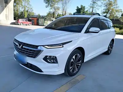 Wuling Motors Victory 2021