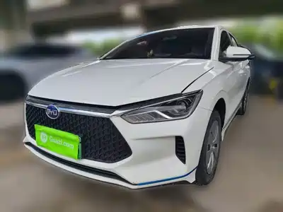 BYD e2 2022