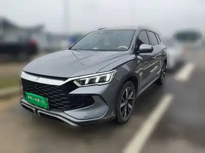 BYD Song Pro New Energy 2024