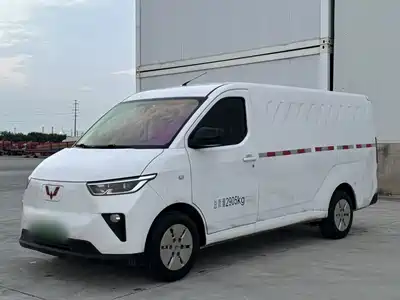 Wuling Motors Yangguang 2025