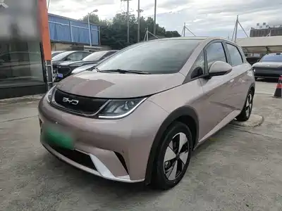 BYD Dolphin 2024