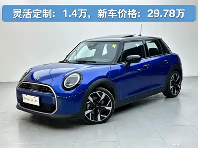 MINI MINI 2024