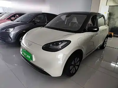 Wuling Motors Bingo 2024