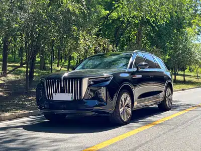 Hongqi E-HS9 2023