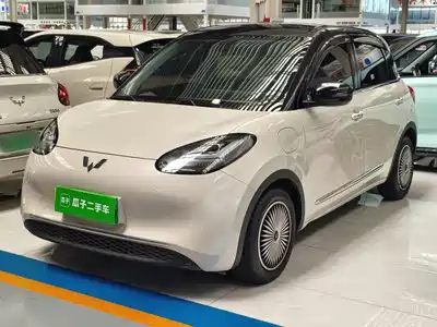 Wuling Motors Bingo 2024
