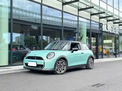 MINI MINI 2025