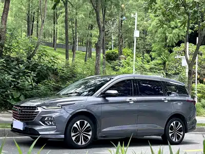 Wuling Motors Victory 2020