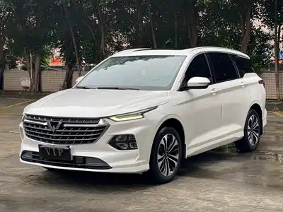 Wuling Motors Victory 2021