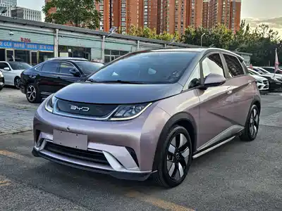 BYD Dolphin 2022