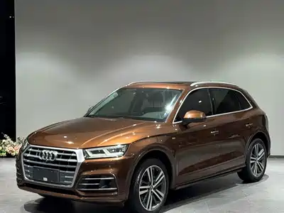 Audi Q5L 2019