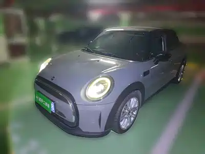 MINI MINI 2021