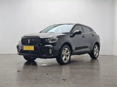 WEY VV5 2020