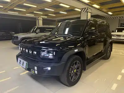 Jetour Shanhai T2 2024