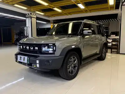 Jetour Shanhai T2 2024