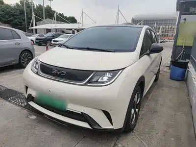 BYD Dolphin 2024