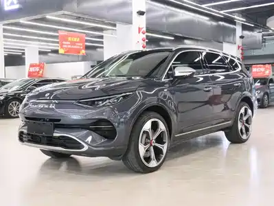 Denza X 2021