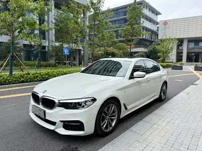 BMW 5 Series (Import) 2019