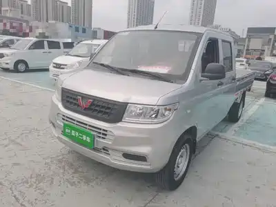 Wuling Motors Rongguang New Truck 2020