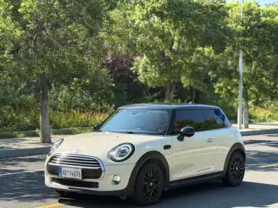 MINI MINI 2015