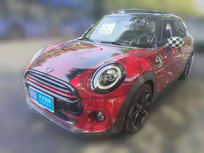 MINI MINI 2020