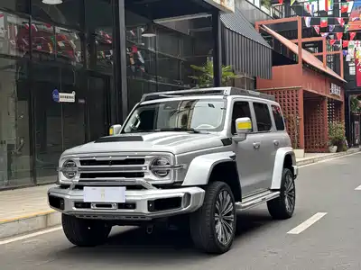Crossboundary Auto Co-created Tank 300 2022