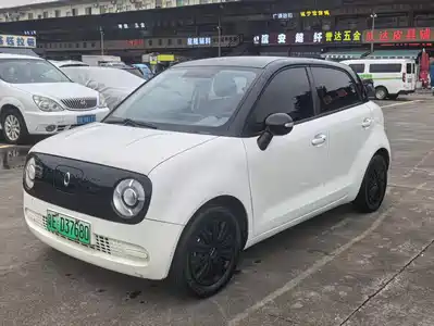 Ora Black Cat 2021