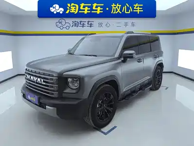 Haval Meng Long NEV 2025