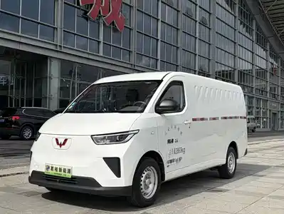 Wuling Motors Yangguang 2024