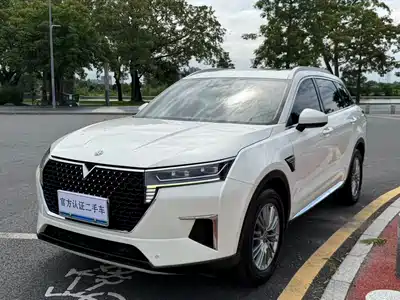 Venucia Star 2022