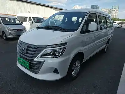 Dongfeng Fengxing Lingzhi New Energy 2026