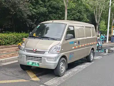 Wuling Motors Rongguang EV 2024