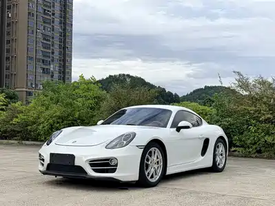 Porsche Cayman 2014