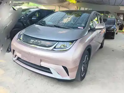 BYD Dolphin 2022