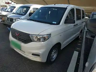 Wuling Motors Hongguang V 2024