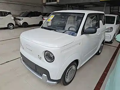Ruilan Auto Blue Elf 2026