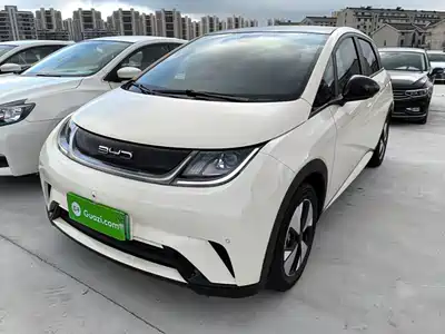 BYD Dolphin 2024