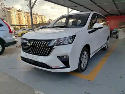 Wuling Motors Jiachen 2026