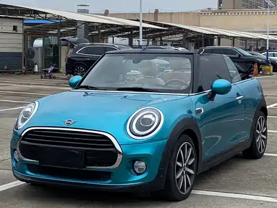 MINI MINI 2019