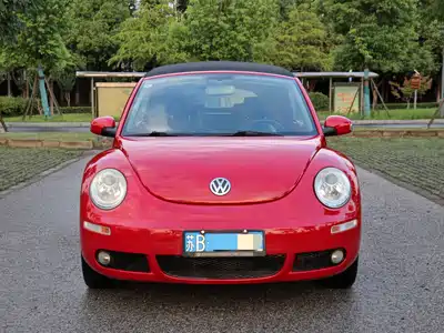 Volkswagen Beetle 2010