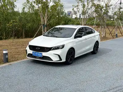 Geely Binrui 2021