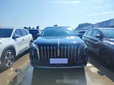 Hongqi HS7 2024