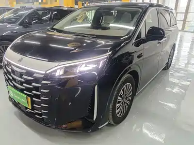 BYD Xia 2025