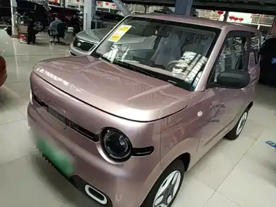 Geely Galaxy Panda 2026