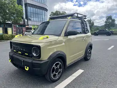 Geely Galaxy Panda 2024