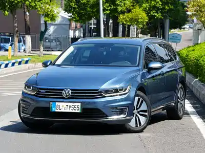 Volkswagen Variant New Energy 2020