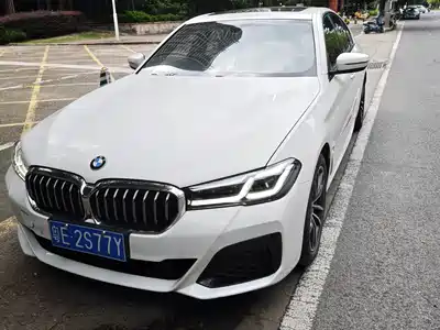 BMW 5 Series (Import) 2021