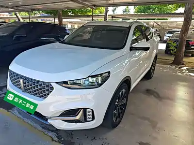 WEY VV6 2020