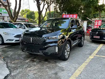WEY VV6 2019