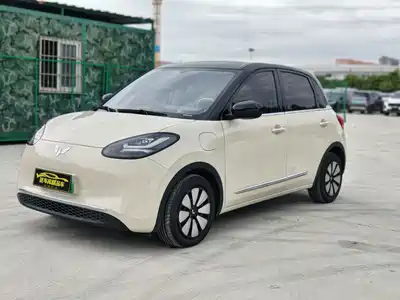 Wuling Motors Bingo 2025